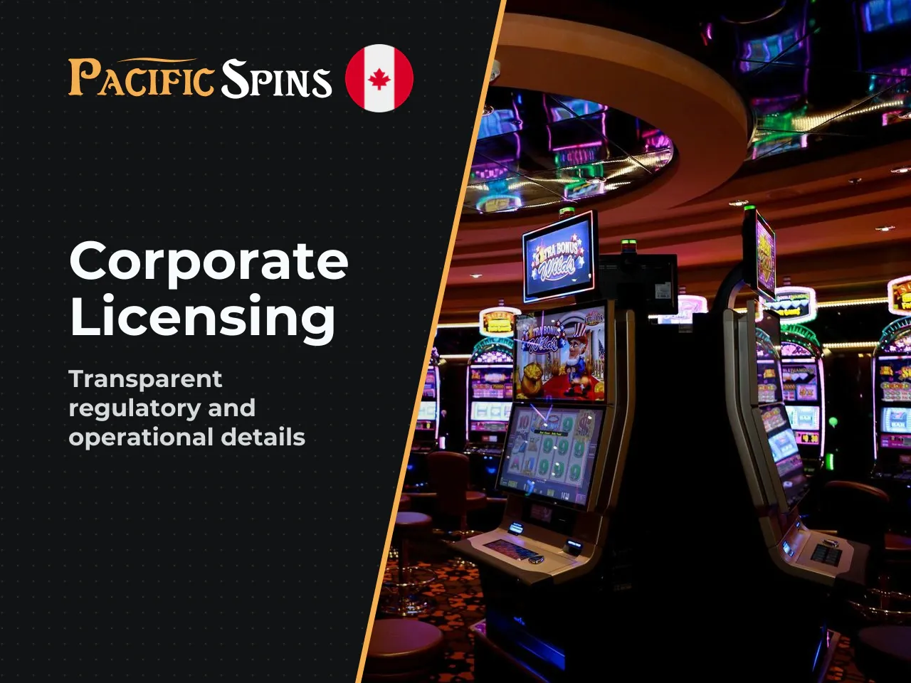 Corporate Structure and Anjouan Licensing Details