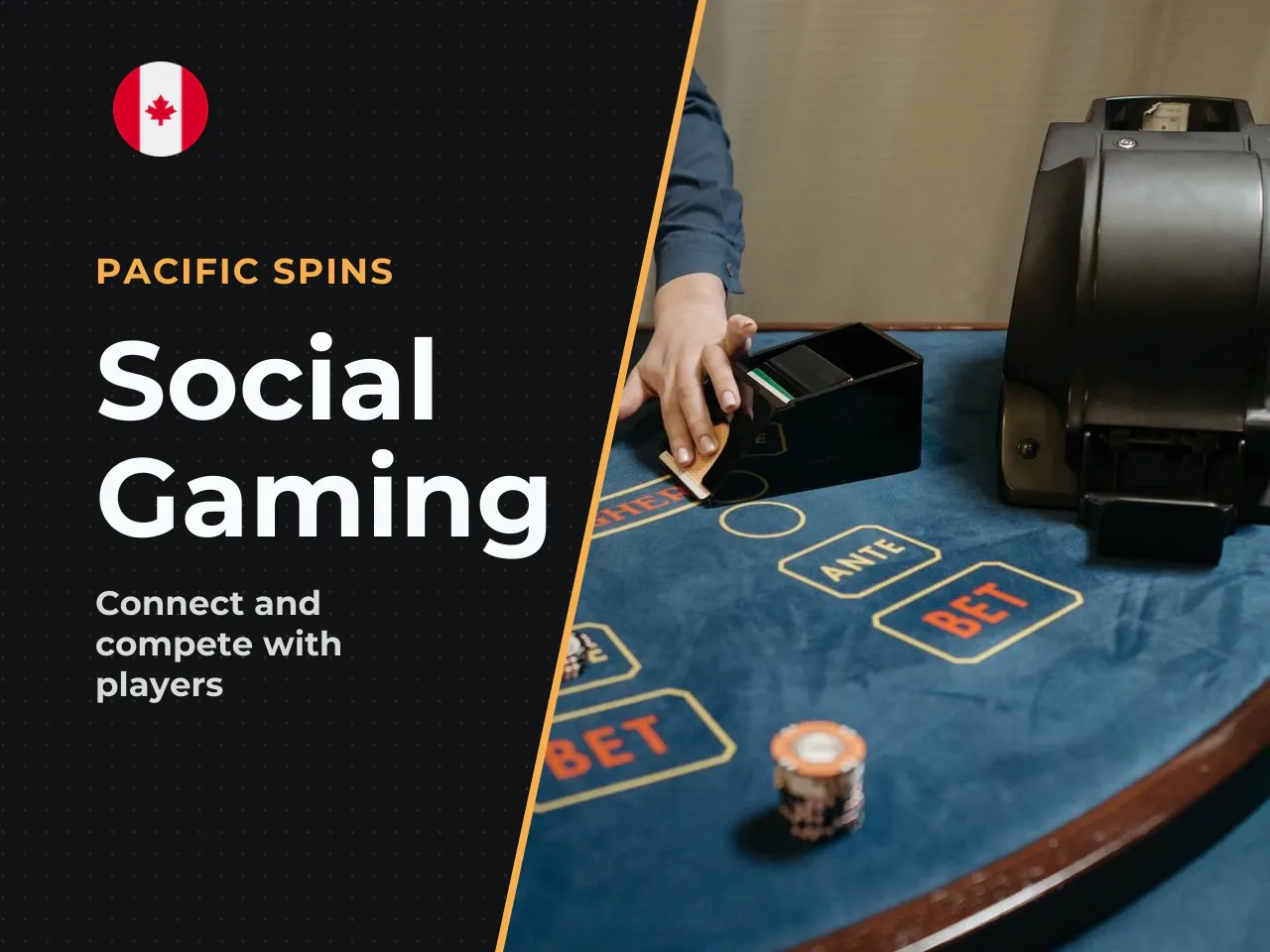 Social Features Live Chat, Live Bets