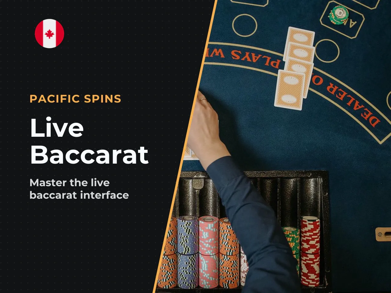 The Live Baccarat Interface and Player