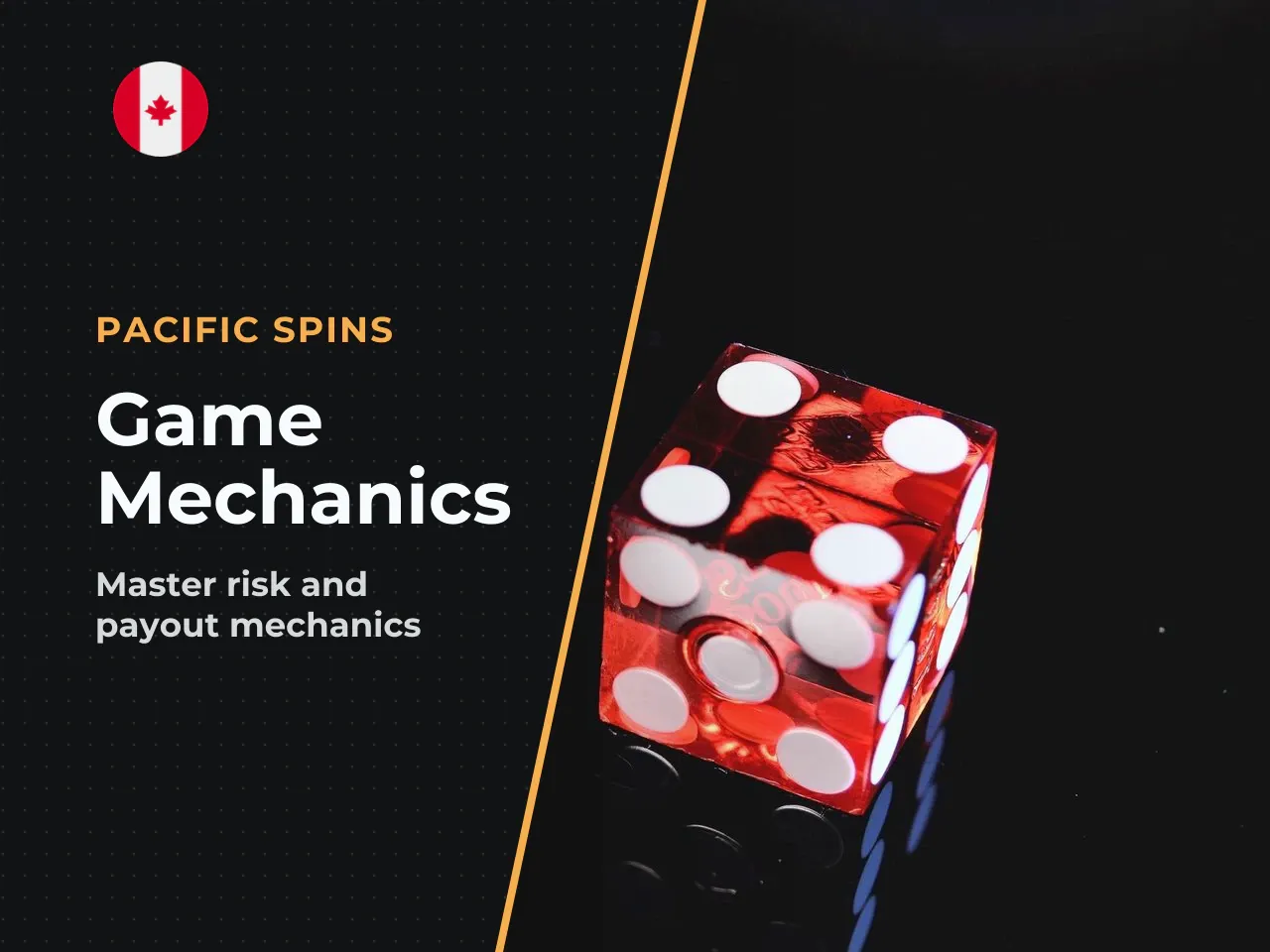 What Determines Risk and Potential Payout